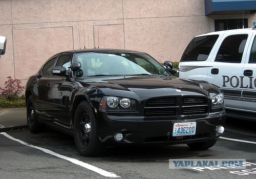 На чём ездят копы в Америке