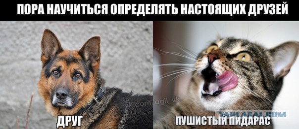 "Готовил и смахивал муку со стола на пол..."