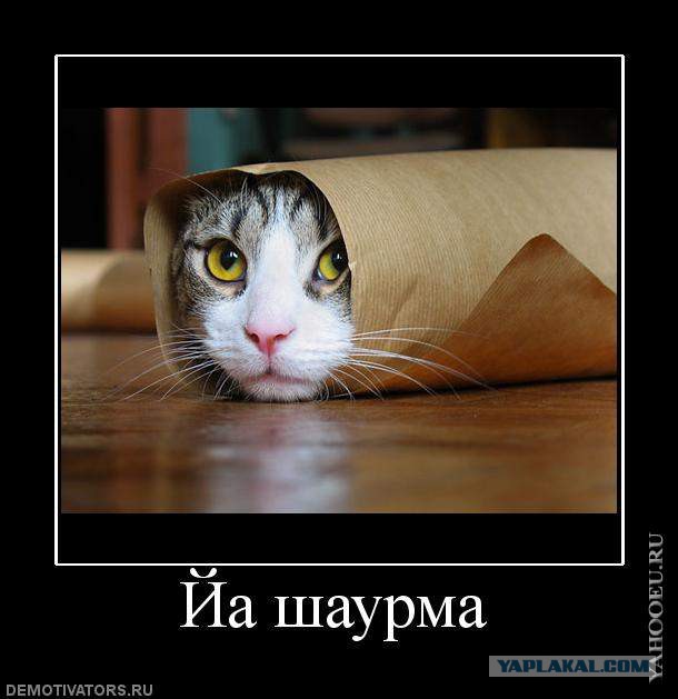 Я хочу замуж