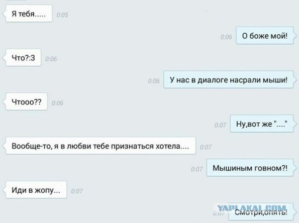 Свежие смешные комментарии из социальных сетей