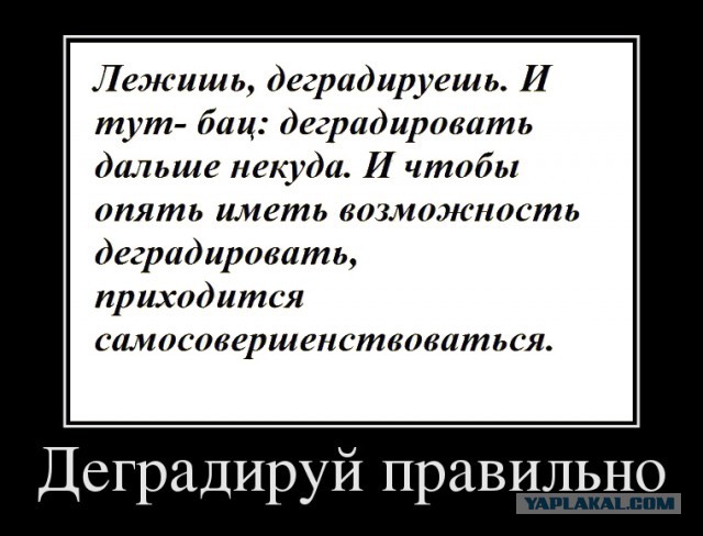 Веселые картинки