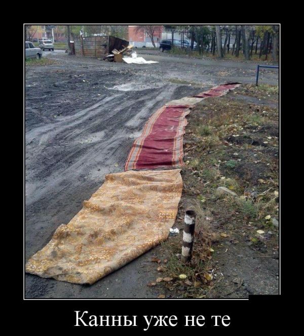 Картинки из сети для настроения