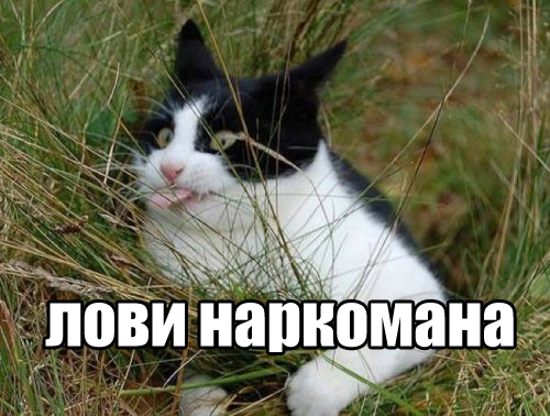 Трындец подкрался незаметно