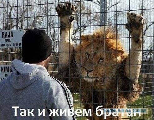 Весёлые картинки на субботу