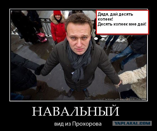 Навальный: вид из Прохорова