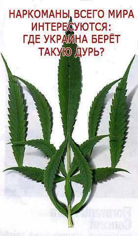 Украинские СМИ требуют перенести войну