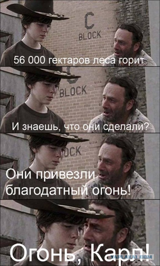 Забавные картинки из Сети