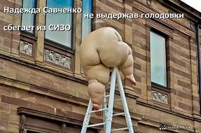 Видео задержания Надежды Савченко