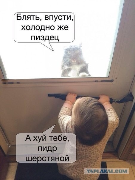 Картинки из сети