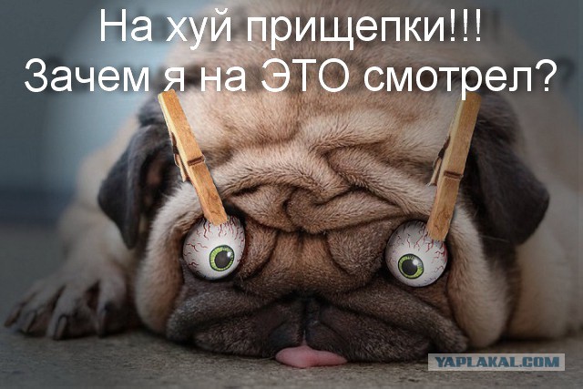 Мужу Димке