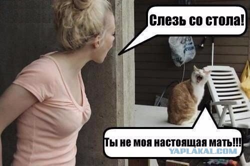 Картинки на пятницу