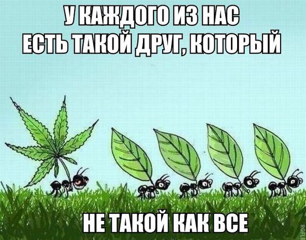 Немного картинок