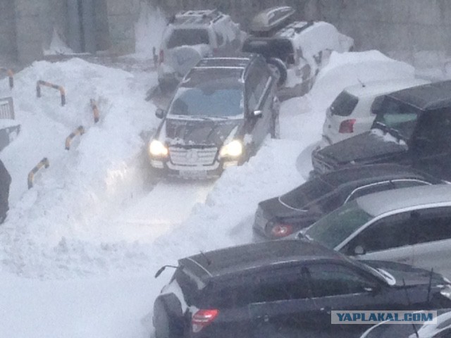 А во Владивостоке снова снежок