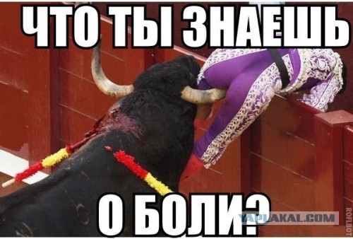 Веселые картинки