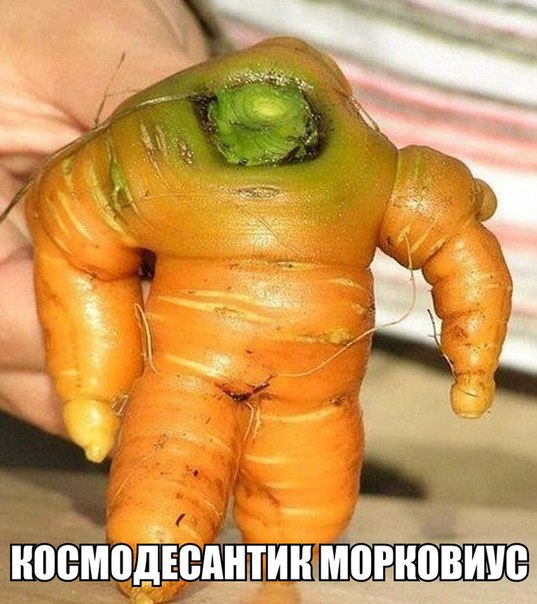 Веселые картинки