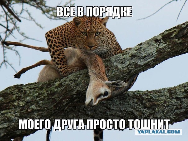 Абсурдный юмор ч.5