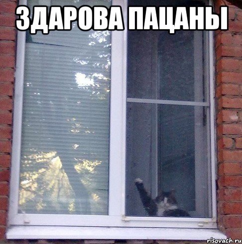 Злые шутки или минутка сарказма на ЯП-е, 16+