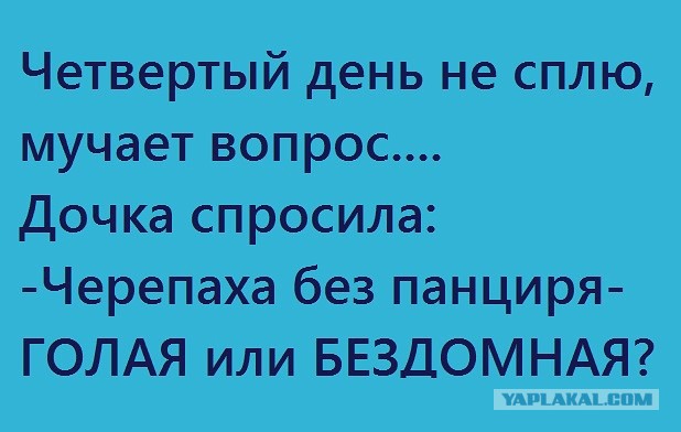 Картинки из ваших этих итернетов...