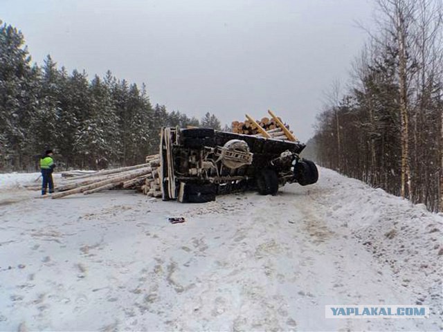 Два человека погибли в жутком ДТП на трассе в Архангельской области