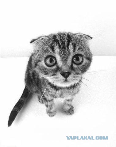 Интересные и смешные картинки!