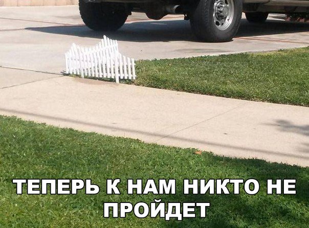 Подборка интересных и веселых картинок