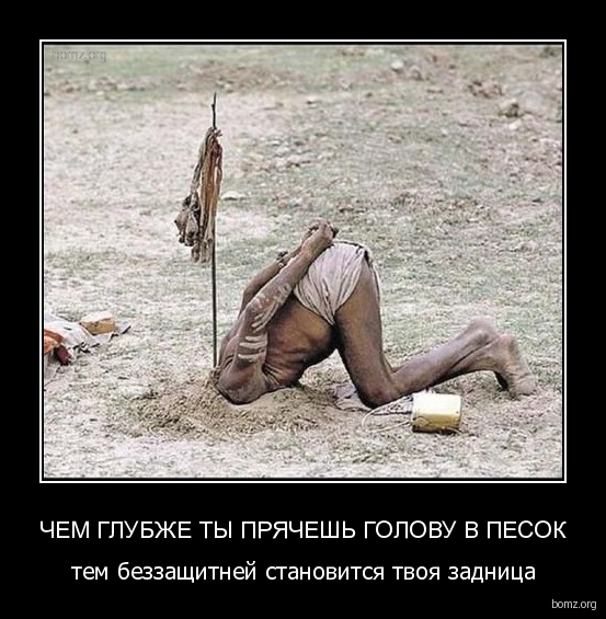 Картинки из сети