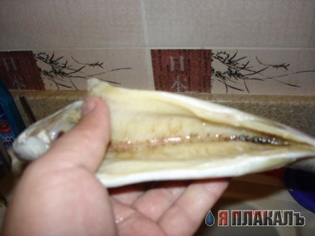 Все из рыбы!