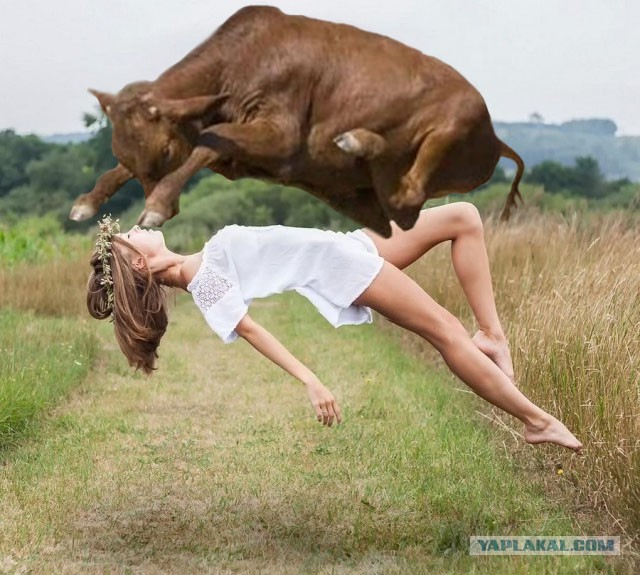 Интересные и веселые картинки