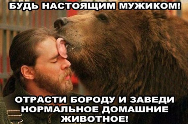 Медведь Степан и его семья