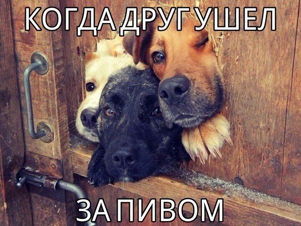 Картинки разные