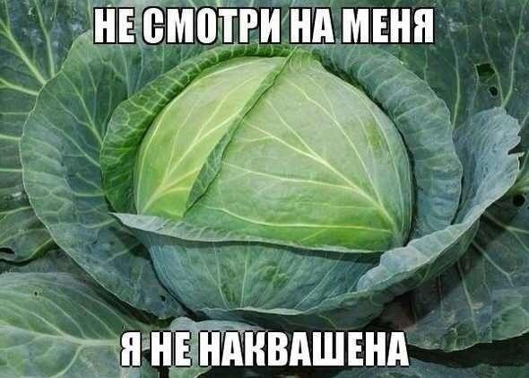 Ассорти картинок из сети