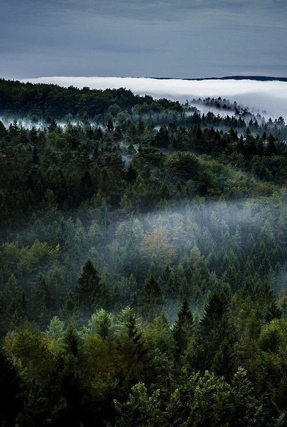 Картинки для отдыха глаз