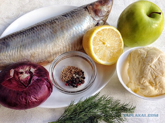 Посиделки под селёдку