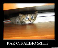 Мнение об ответственности "насильников" студентки МАДИ
