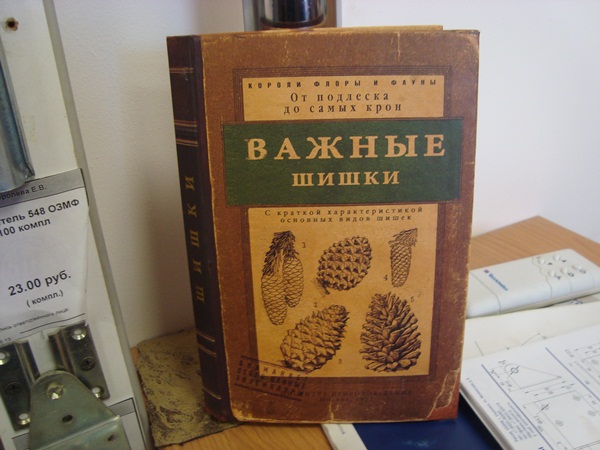 Порция абсурдного юмора на следующую неделю