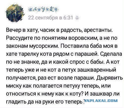 Ужасы и приколы из соцсетей 18+