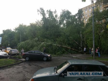В Москве ураган!