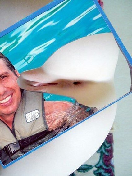 Картинки для поднятия настроения в понедельник