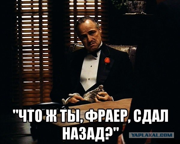 Последняя Пенсионная Реформа