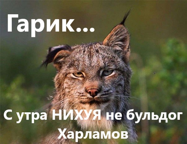 Разных картинок псто 12.08.19