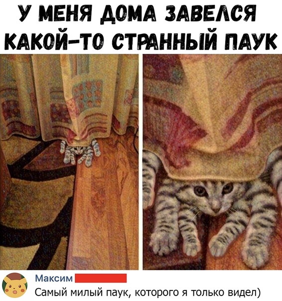 Немного картинок для настроения