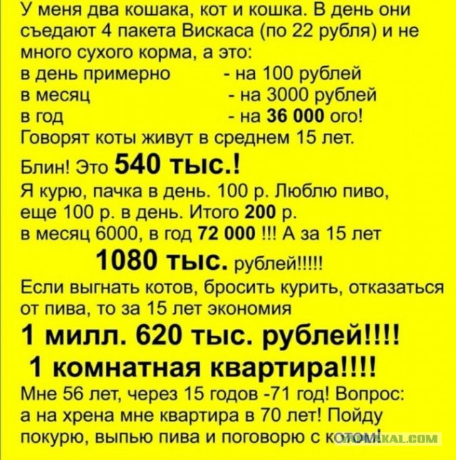 Прикольные комментарии и высказывания из соцсетей