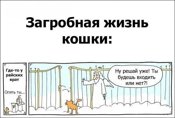 Жизнь - боль...