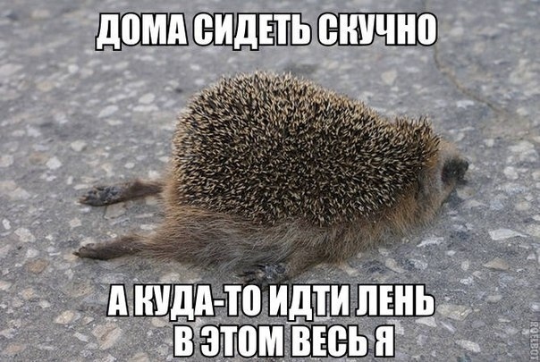 Так себе картинки 26.06.20