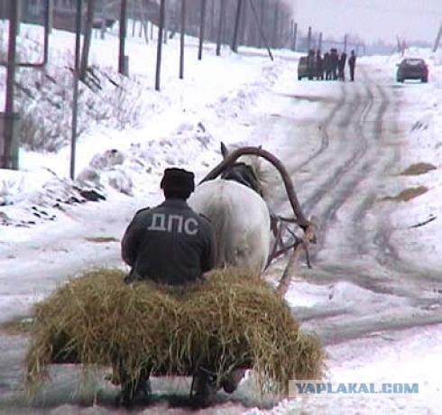 Кризис коснулся всех