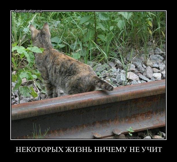 На сайте знакомств после развода
