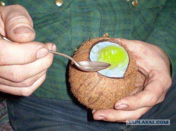 прикольные продукты