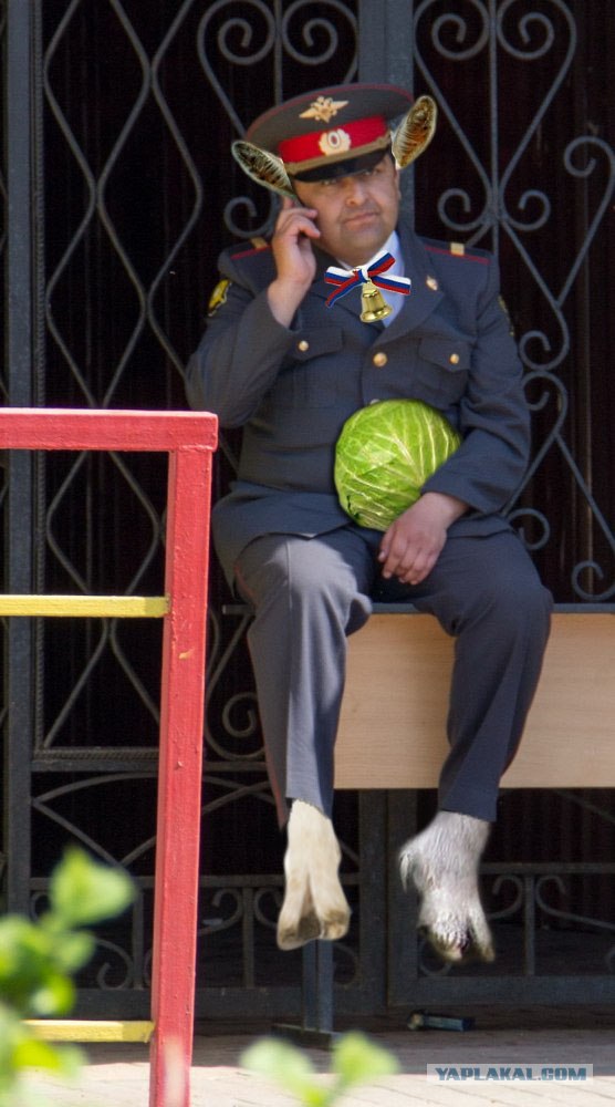 Фотожаба: Грустный...