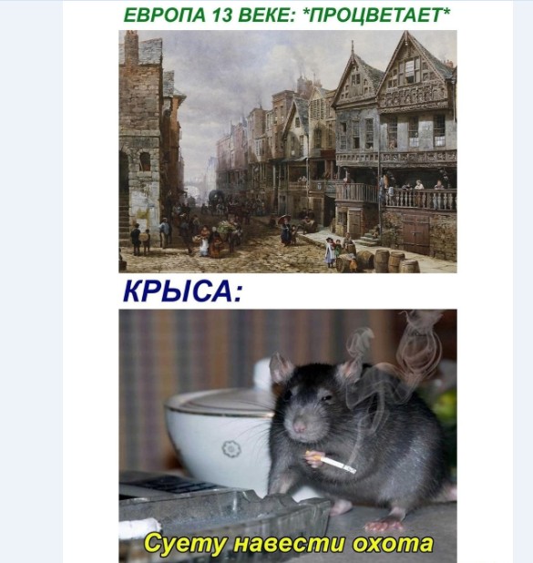 Бредзона 10.02.21