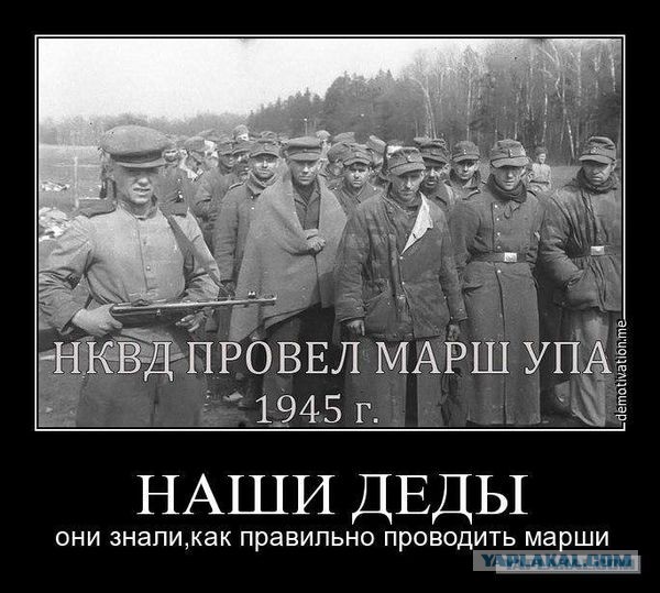 В Киеве анонсировали марш вышиванок в честь дивизии СС "Галичина"